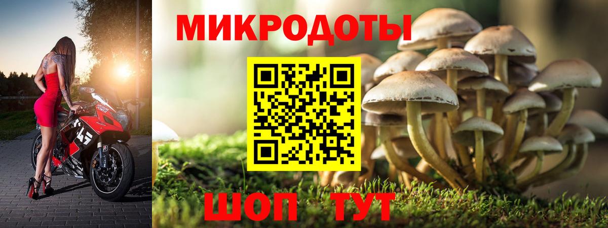 Псилоцибиновые грибы ЛСД  Вход с VPN  Галлюциногенные грибы Magic Shrooms  Ессентуки 